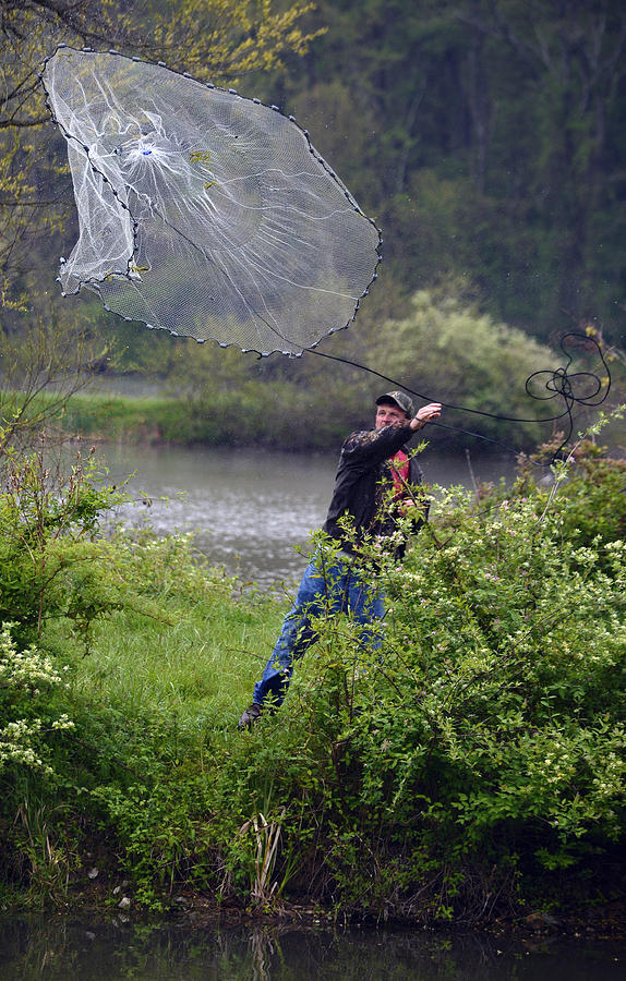 Netting for bait Photograph by Brian Stevens