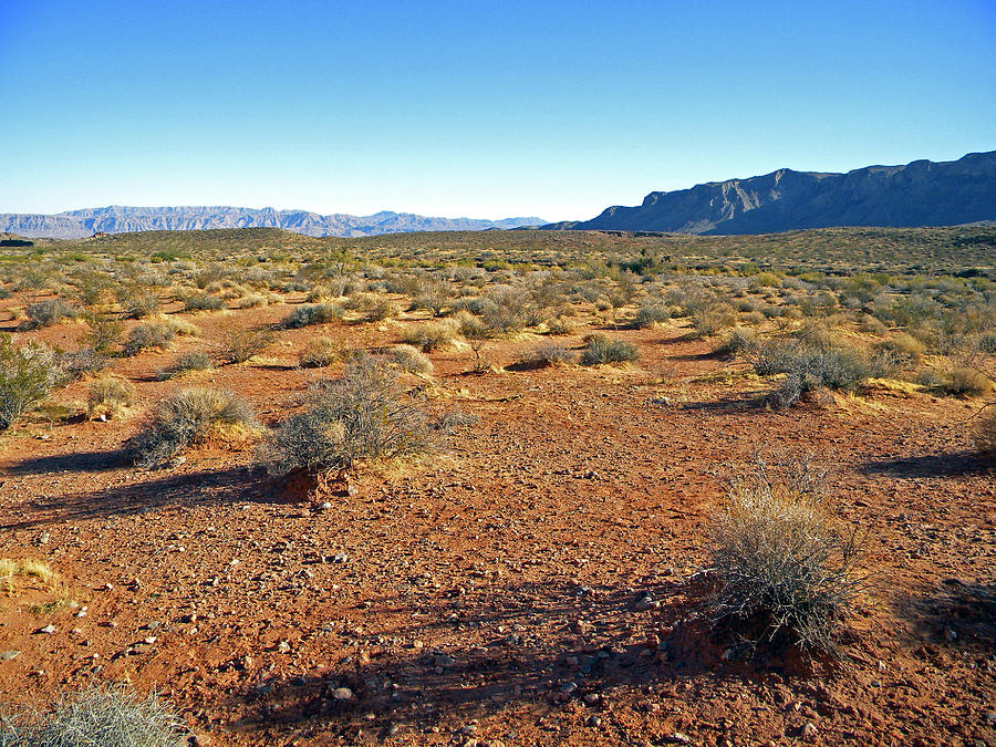Nevada Desert Photograph by Frank Wilson