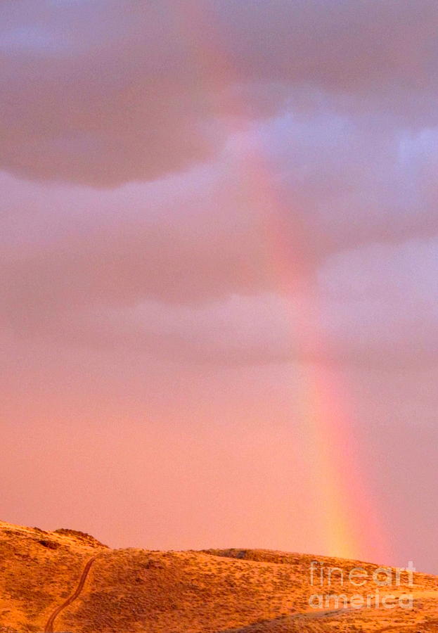 Nevada Rainbow Photograph by Phyllis Kaltenbach