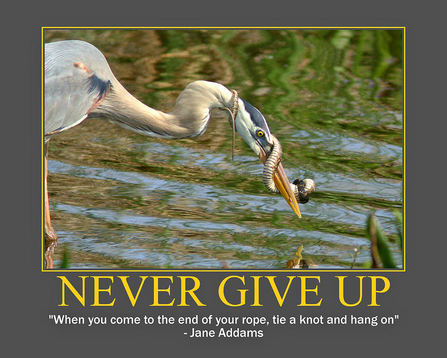 Never Give Up Photograph by PMG Images