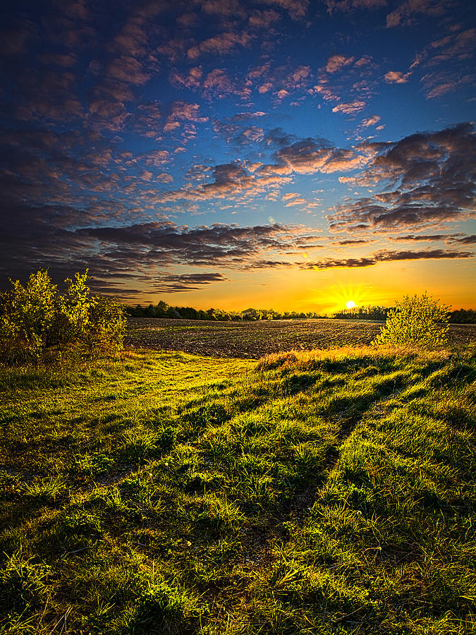 Neverland Road Photograph by Phil Koch - Fine Art America