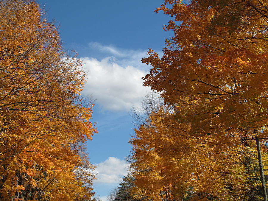 New England Autumn Photograph by Loretta Pokorny