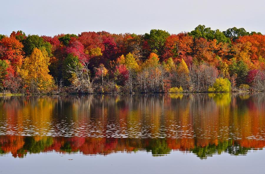 New England Autumn Photograph by Niki Baxter - Fine Art America