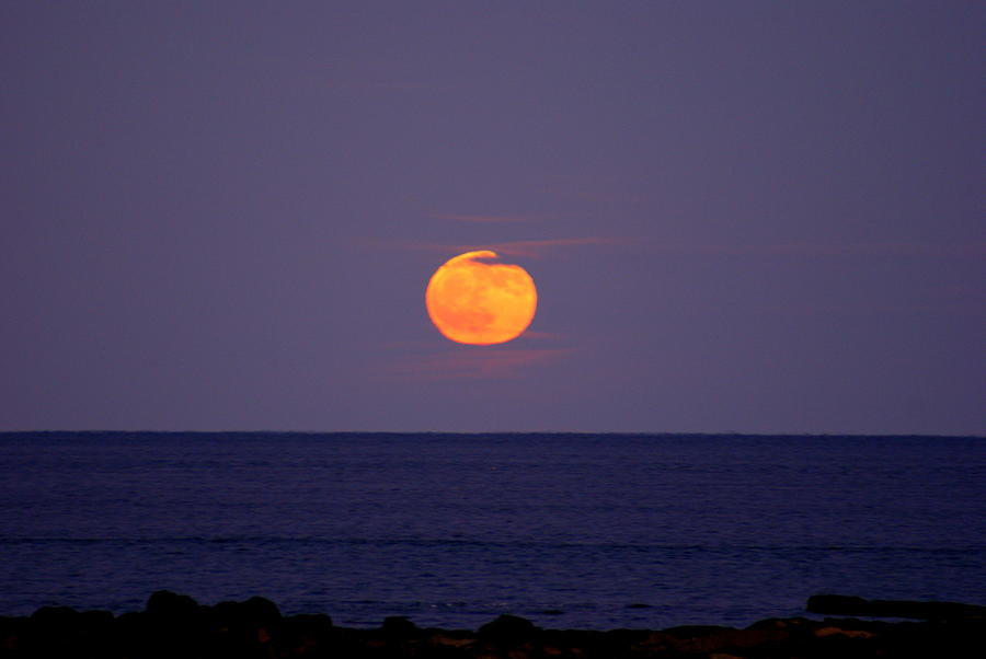 New England Moon Rise Photograph by Lois Lepisto