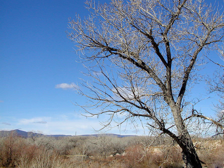 Landscape Photograph - New Mexico Series - A view Espanola by Kathleen Grace
