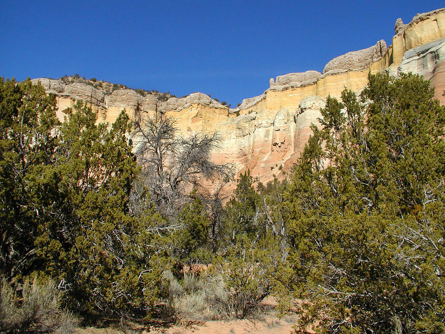 New Mexico series - Bandelier I Photograph by Kathleen Grace