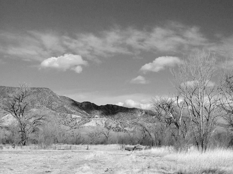 New Mexico Series - Winter Desert Beauty black and white Photograph by Kathleen Grace