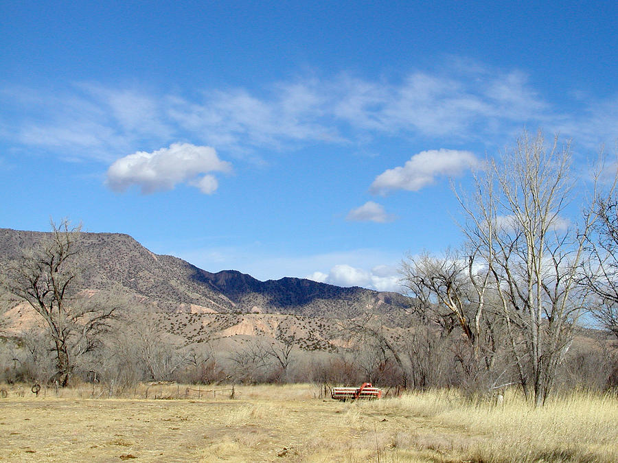 New Mexico Series - Winter desert beauty Photograph by Kathleen Grace