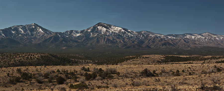 Mountain Photograph - New Mexico Spring by Bob Bailey