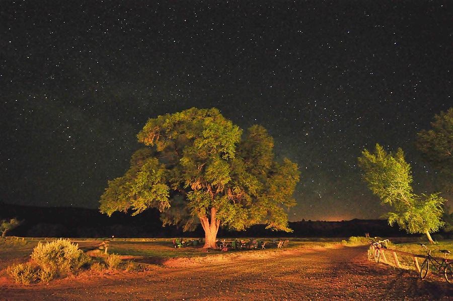 Landscape Photograph - New Mexico Stars by Mark Fesgen
