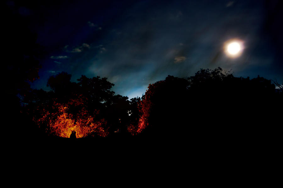 Tree Pyrography - New Moon by Stuart Deacon
