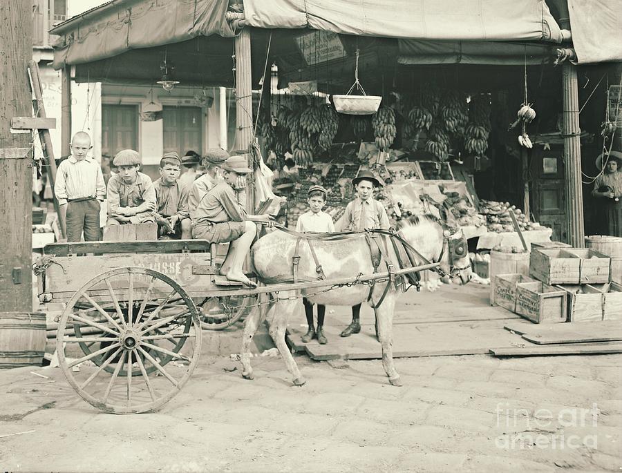 New Orleans French Market in Louisiana 1905 Photograph by Padre Art