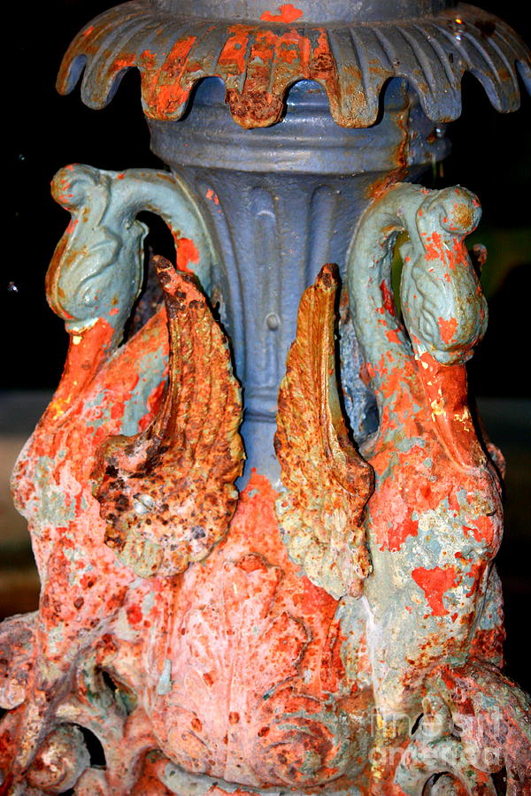 New Orleans Swan Fountain Photograph by Carol Groenen