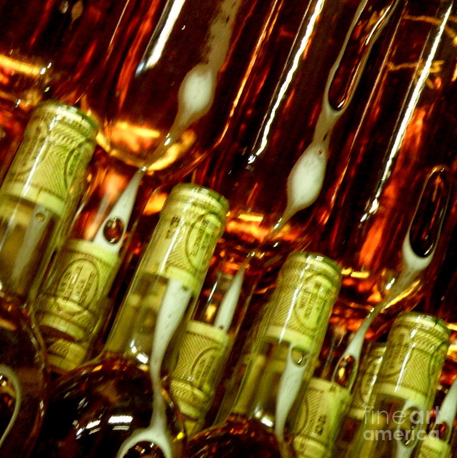 New Wine Photograph by Lainie Wrightson