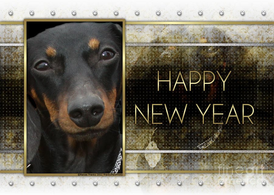 New year hot sale dachshund