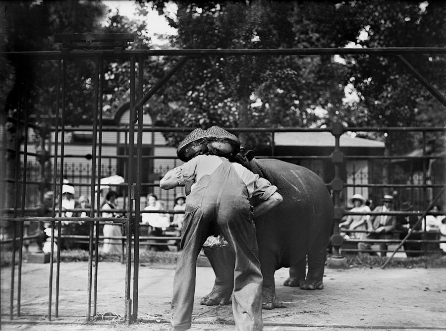 Central Park Photograph - New York City, Man With Head In Hippos by Everett