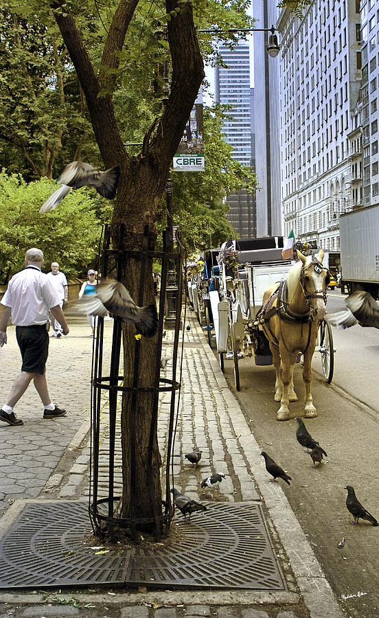 New York City Photograph - New York City - Street Scene 2 by Madeline Ellis