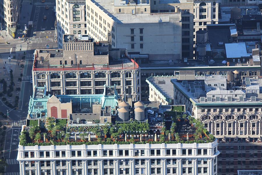 New York Roof Garden Photograph by David Grant