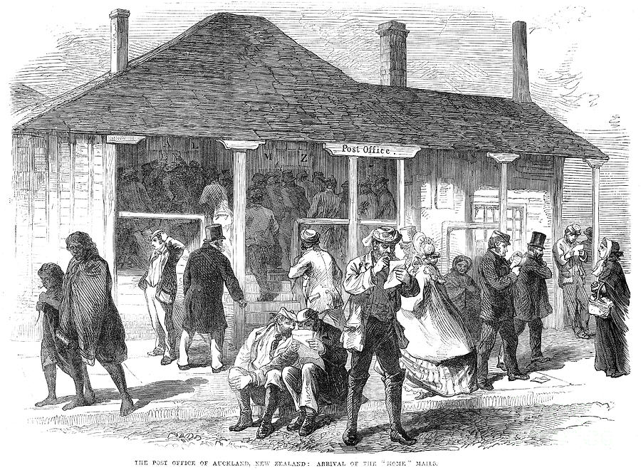 New Zealand Auckland Photograph by Granger Pixels