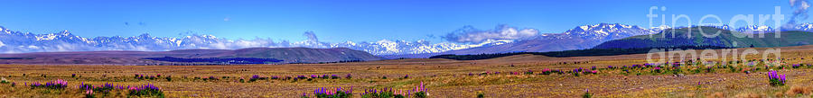New Zealand Southern Alps Panorama Photograph by Harry Strharsky