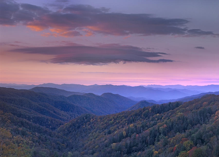 Newfound Gap Great Smoky Mountains Photograph by Tim Fitzharris