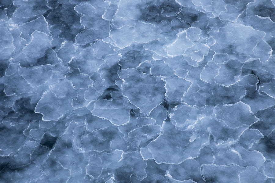 Newly Formed Sea Ice Forming Ice Floes Photograph by Colin Monteath