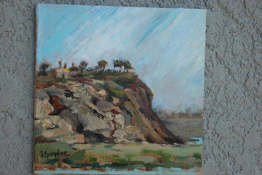 Newport Beach Back Bay Cliff Painting by Joyce Snyder