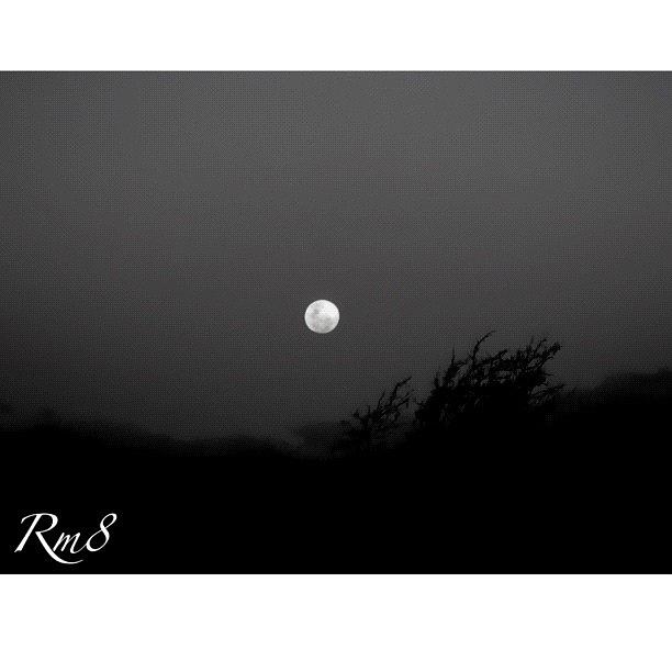 ◼◻
full Moon 
age:15 Days Photograph by Ryan Matthew 