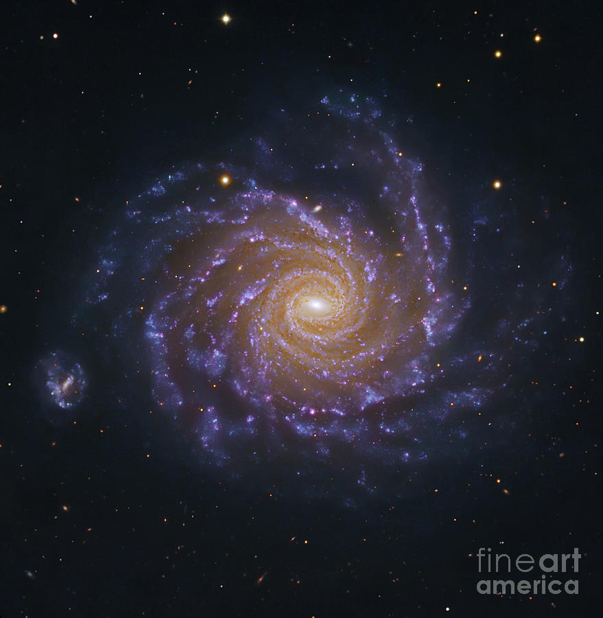 Ngc 1232, A Spiral Galaxy In Eridanus Photograph by Robert Gendler