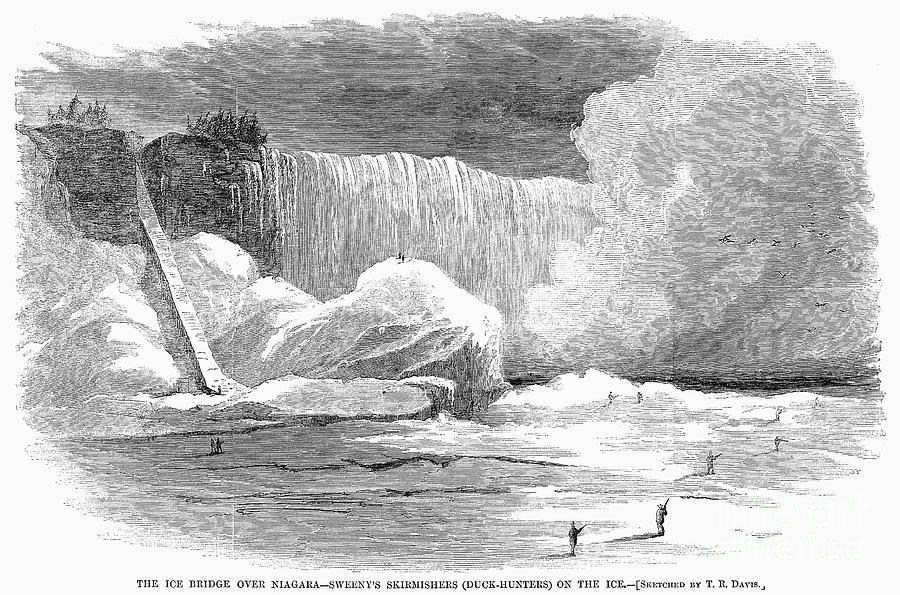 Niagara Falls, 1866 Photograph by Granger