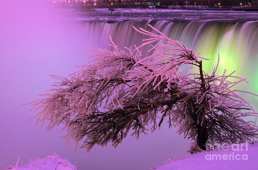 Winter Photograph - Niagara Falls Festival Lighting by Charline Xia