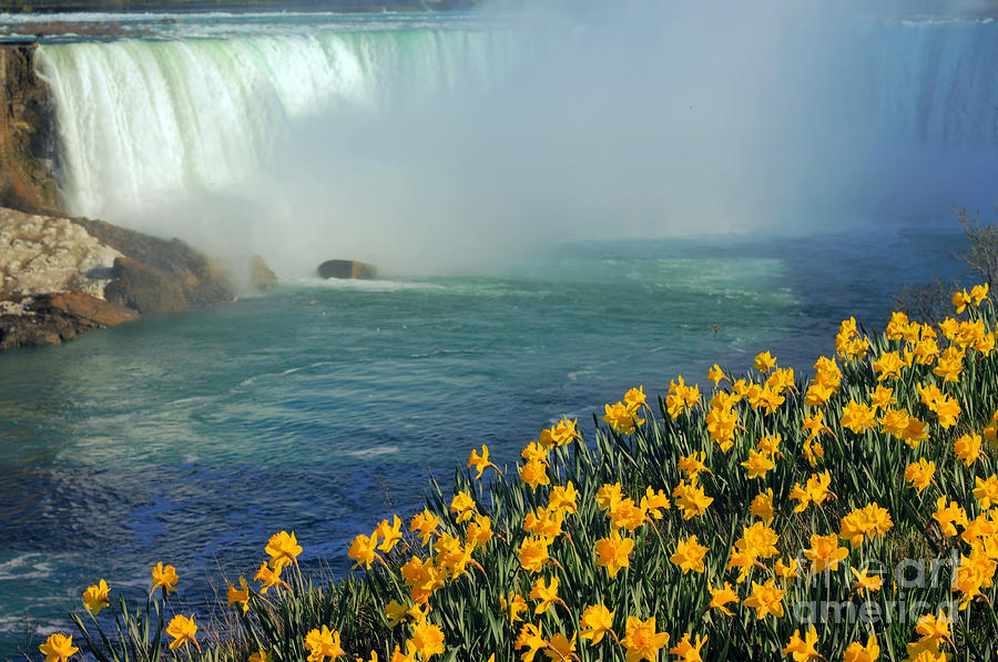 Niagara Falls in Spring Photograph by Charline Xia