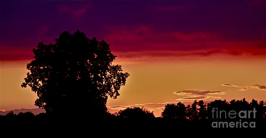 Grape Photograph - Niagra Sunset by Xn Tyler