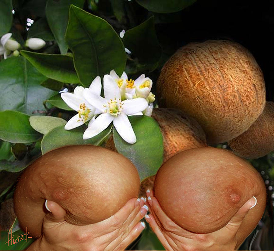 Erotic Humor Digital Art - Nice coconuts by John Huneck