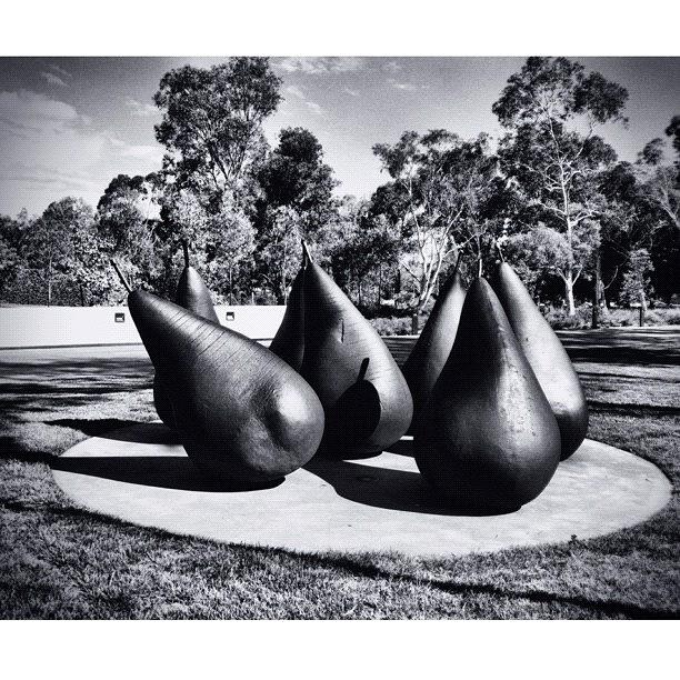 Blackandwhite Photograph - Nice Pear #iphoneography by Kendall Saint