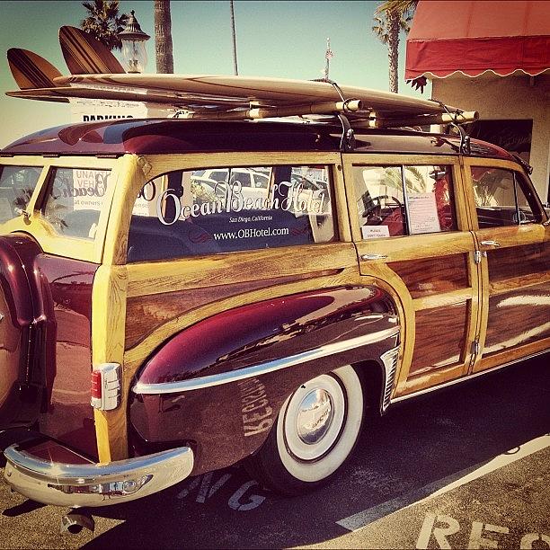 Nice Woody Photograph by Christopher Leon