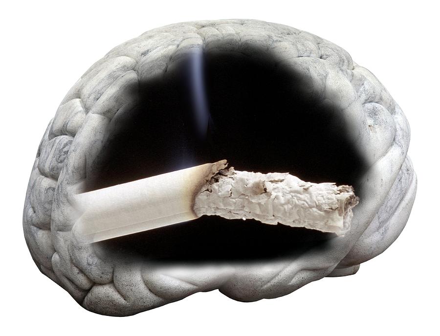 Tobacco Photograph - Nicotine Addiction, Conceptual Image by Victor De Schwanberg