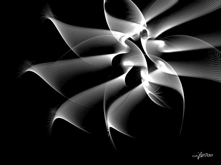 Night Flower Abstract Digital Art by Maciek Froncisz