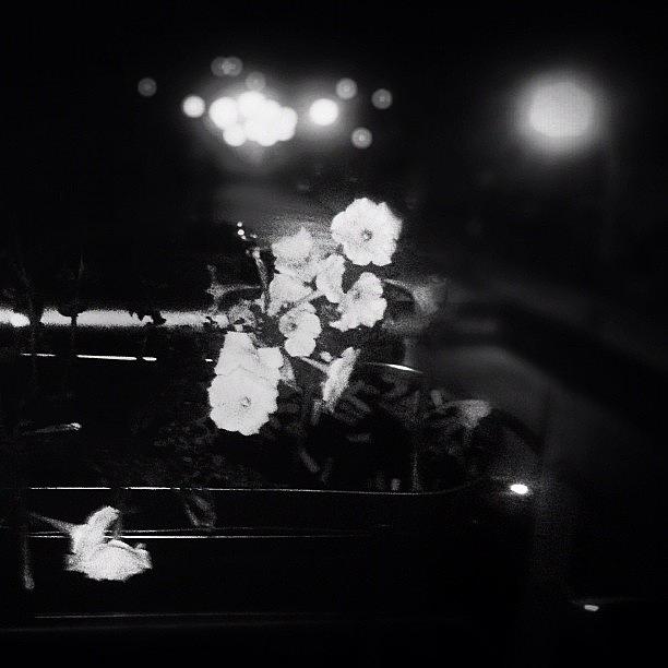 Insta Photograph - Night Flowers In The City by Nikos Vosniadis