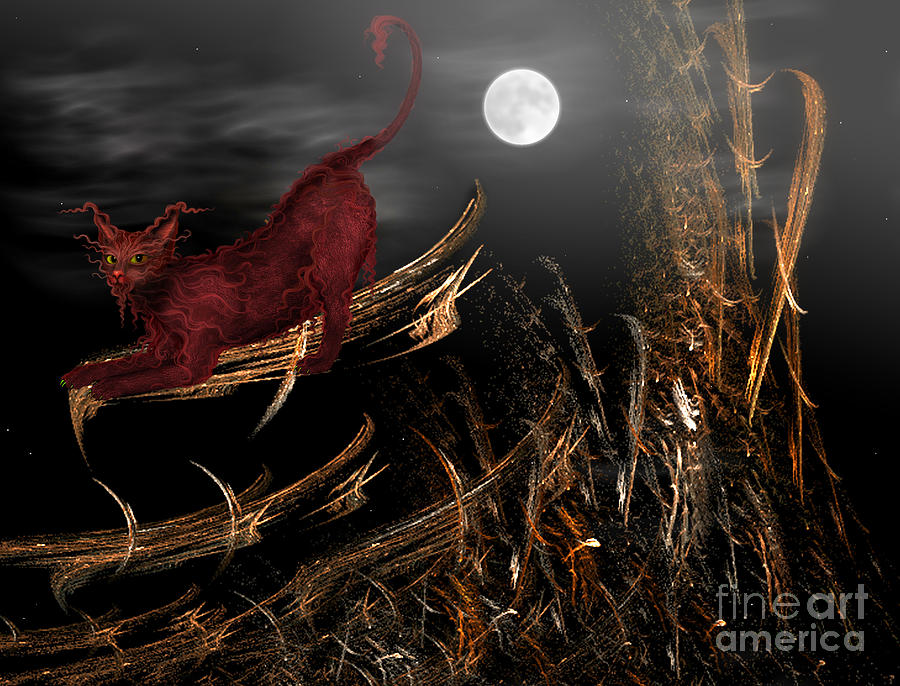  Halloween Night in the Hay Field  Digital Art by Elaine Manley