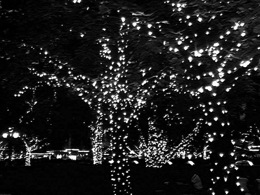 Tree Digital Art - Night Lights by Miss Dawn