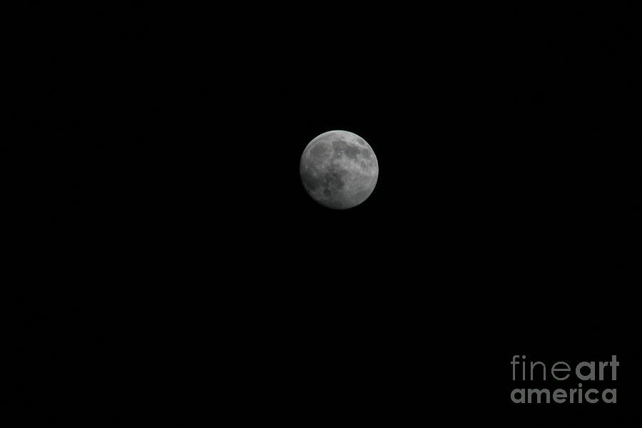 Night Moon Photograph by Michael Waters Night Moon Photograph by Michael Waters