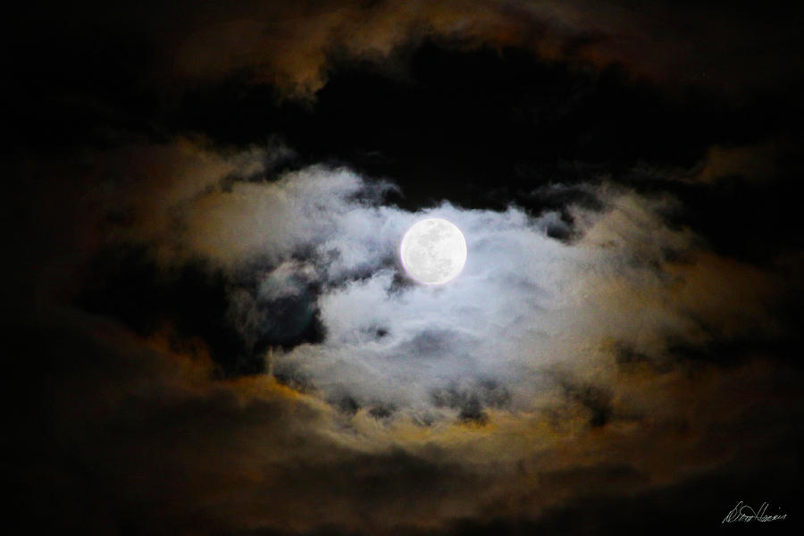 Night of the Full Moon Photograph by Diana Haronis