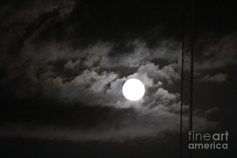 Night of the Full Moon Photograph by Kathy  White