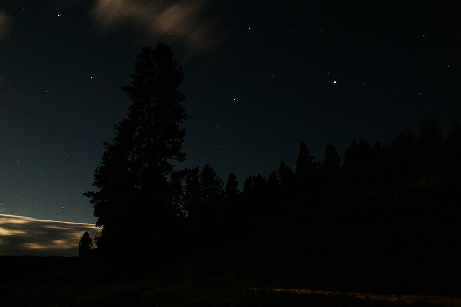 Night Sky Yellowstone National Park Photograph by Benjamin Dahl