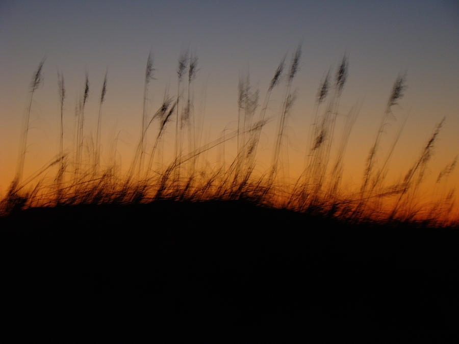 Sunset Photograph - Night Slips Into the Dunes by Carol Senske