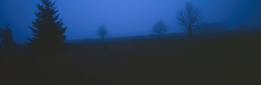 Nightfall on the moor Photograph by Ulrich Kunst And Bettina Scheidulin