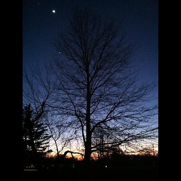 Tree Photograph - #nightfall #photooftheday #newjersey by Cai King-Young