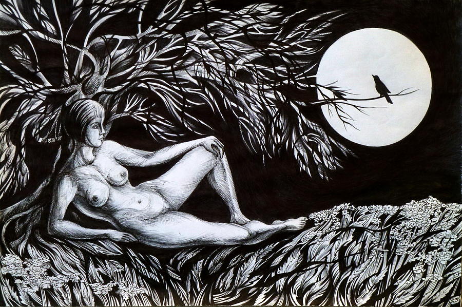 Black And White Drawing - Nightingale Song. Part One by Anna  Duyunova