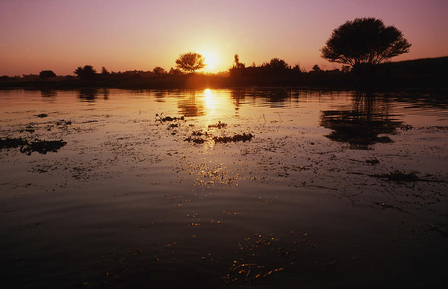 Nile Photograph by David Harding